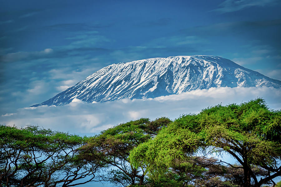7 Days Umbwe Route